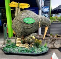 Große Neuseeland Rundreise: Im Ort Franz Josef.