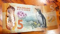 Große Neuseeland Rundreise: Pinguin auf der Fünf Dollar Note Neuseelands. 