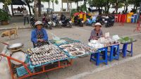 Seafood Market