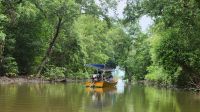 Bootsfahrt im Mangrovengebiet