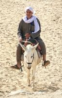 Eselhirte in Sakkara