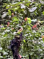 morgendliche Fütterung