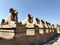 Widderreihe am Eingang von Karnak