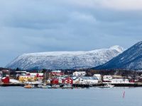 Tag 9 - Risøyhamn