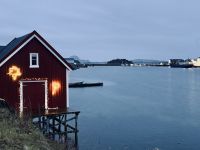 Tag 10 - Brønnøysund