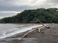 der Fluss mündet hier ins Meer