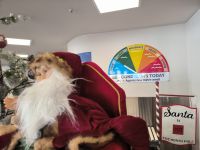 Santa Claus und das Wetter