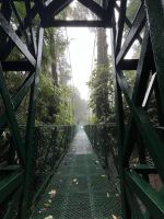 Hängebrückenwanderung