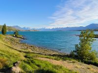 Lake Tekapo am Morgen