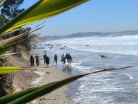 Am Strand zu den Moeraki Boulders