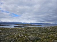 Aussicht von einer Insel im Beagle Kanal