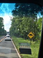 Angekommen in Puerto Iguazú