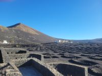 Weinregion La Geria/Lanzarote/Kanaren