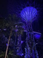Gardens by the Bay Lichtershow