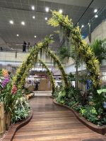 Changi Airport Singapur