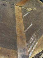 Jahresringe Kauri Stamm