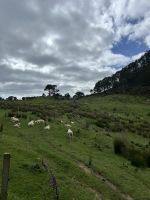 Wanderung Cathedral Cove