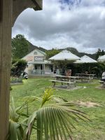 Mittagspause in Hahei