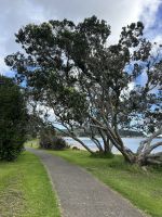 Tairua Mary Beach Reservat