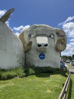 Tirau Visitor Information Centre