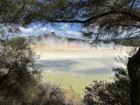 Champagner Pool Wai-O-Tapu Thermal Wonderland