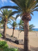 Puerto del Carmen/Lanzarote/Kanaren