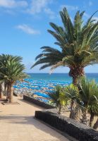 Puerto del Carmen/Lanzarote/Kanaren