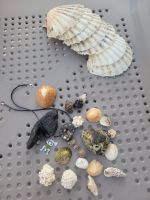 aus dem Meer/Lanzarote/Kanaren