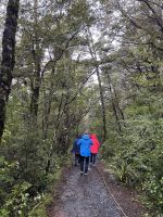Wanderung Tongariro National Park