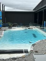 Zwergpinguine West Coast Wildlife Centre Franz-Josef