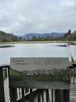 Spiegelsee Lake Matheson
