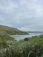 Royal Albatross Centre Otago Halbinsel