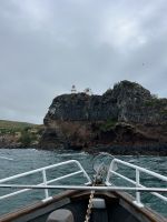 Blick auf das Royal Albatross Centre