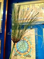 Stängel einer Papyruspflanze