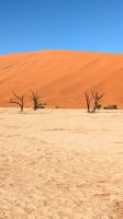 Dead Vlei