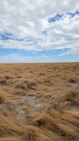 Landschaft, Etosha Nationalpark