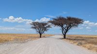 Etosha Nationalpark