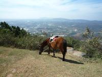 Mit dem Jepp zum Aussichtspunkt- Dorf bei Da Lat (20)
