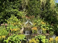 3. Tag: Stadtrundfahrt durch Singapur – Nationaler Orchideengarten im Botanischen Garten