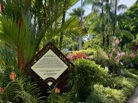 3. Tag: Stadtrundfahrt durch Singapur – Nationaler Orchideengarten im Botanischen Garten
