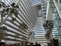 3. Tag: Stadtrundfahrt durch Singapur – Marina Bay Sands Hotel