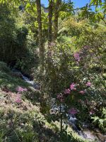 Wanderung in den Bergen Costa Ricas