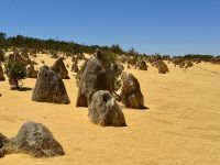 5. Tag: Ausflug in den Norden – Pinnacles Desert im Nambung-Nationalpark