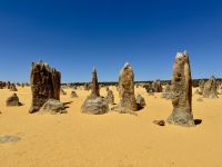 5. Tag: Ausflug in den Norden – Pinnacles Desert im Nambung-Nationalpark