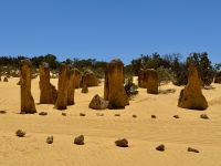 5. Tag: Ausflug in den Norden – Pinnacles Desert im Nambung-Nationalpark