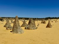 5. Tag: Ausflug in den Norden – Pinnacles Desert im Nambung-Nationalpark