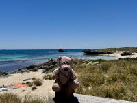 6. Tag: Tagesausflug auf die Rottnest Island – Max am Strand „The Basin“