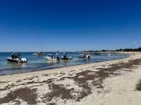 6. Tag: Tagesausflug auf die Rottnest Island – Boote in der Thomson Bay
