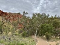 8. Tag: Ausflug in die West MacDonnell Ranges – Spaziergang zur Ormiston Gorge