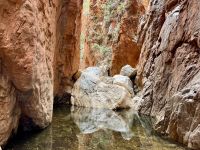 8. Tag: Ausflug in die West MacDonnell Ranges – Spaziergang zur Standley Chasm